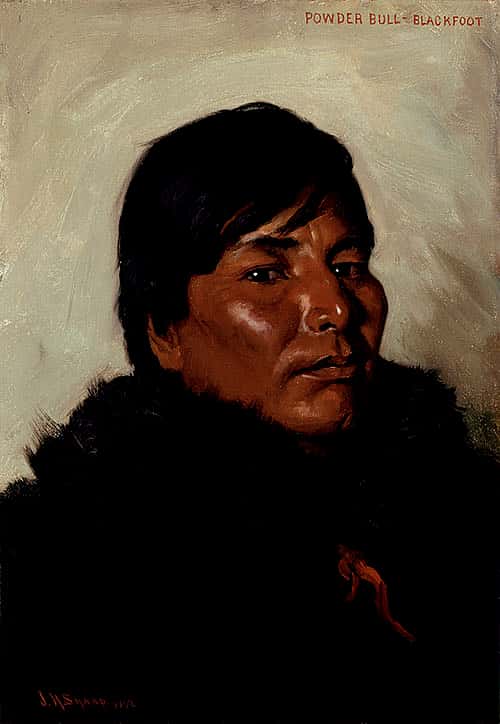 Powder Bull - Blackfoot